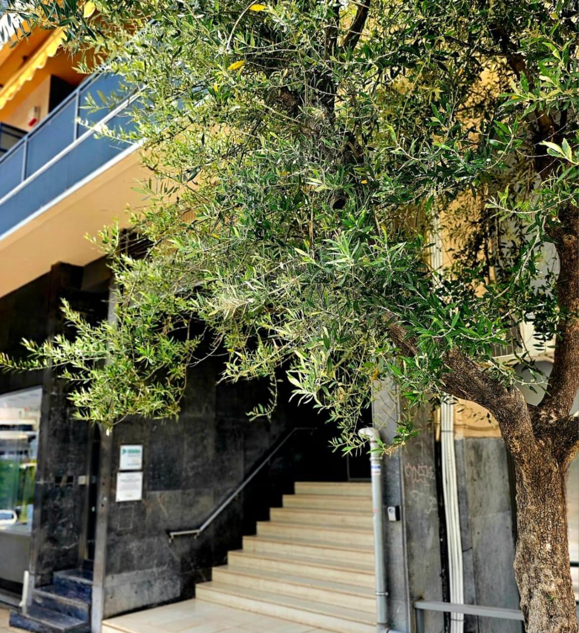 Diocharous Garden Apartment Athen Exterior foto